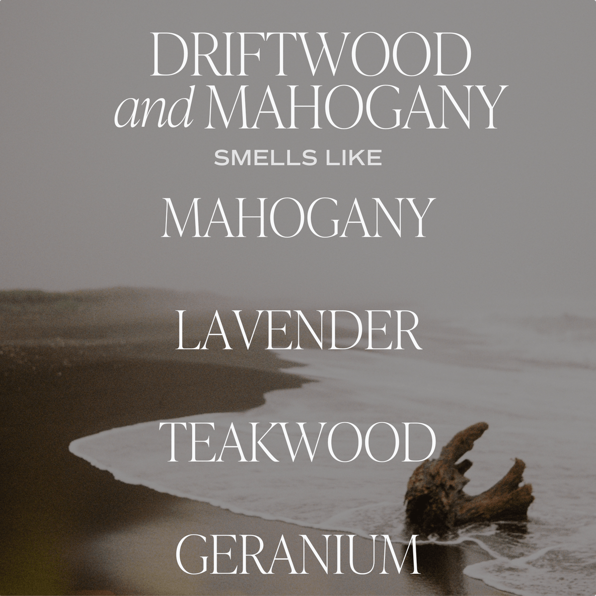 Sweet Water Decor Driftwood and Mahogany Soy Candle - Brown Matte Jar - 15 oz