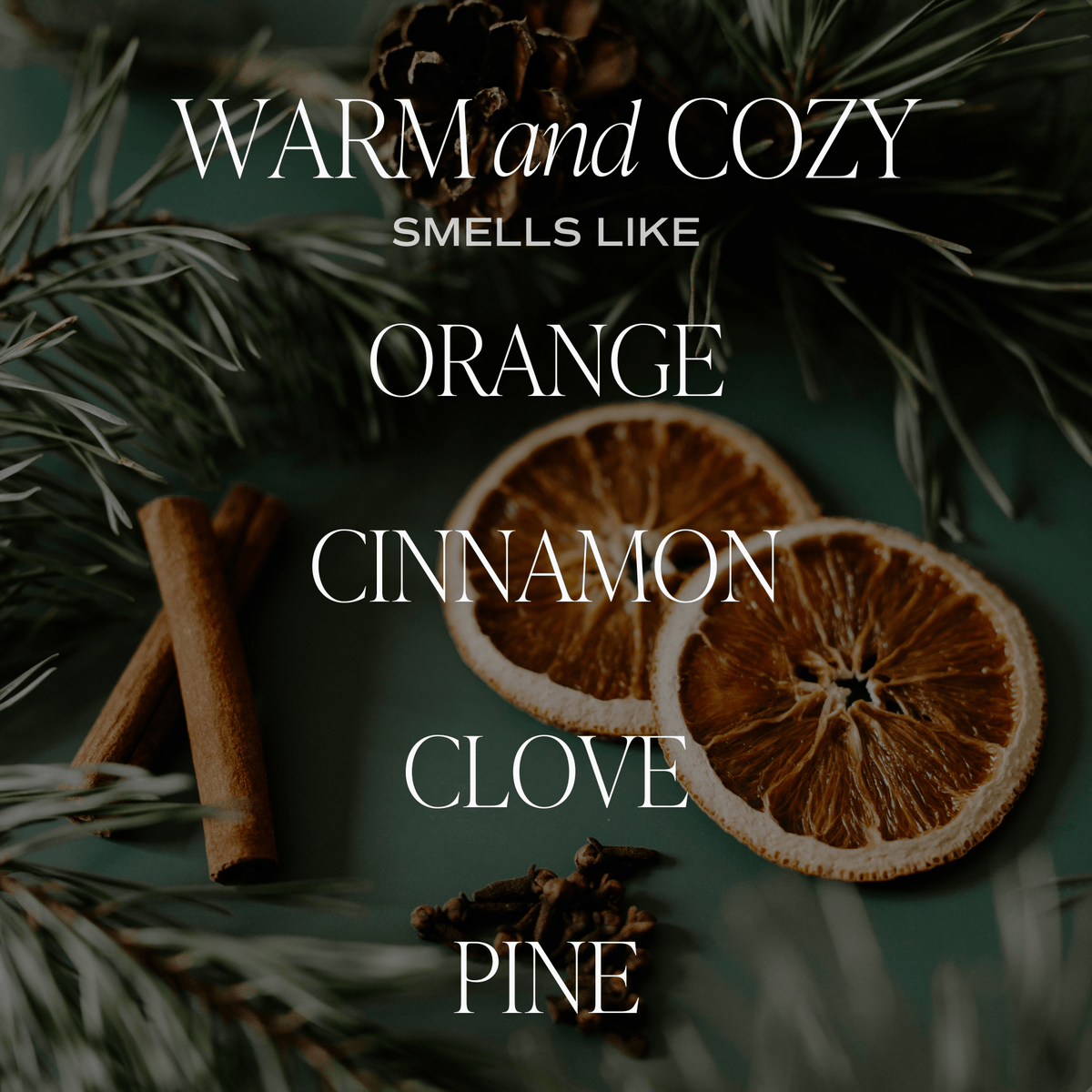 Sweet Water Decor Warm and Cozy Soy Candle - Tan Matte Jar - 15 oz