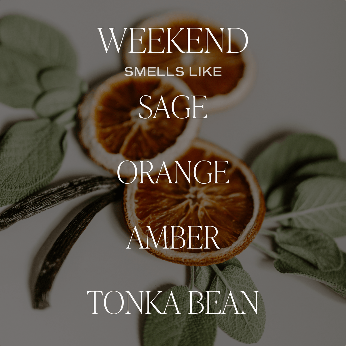 Sweet Water Decor Weekend Soy Candle - Tan Matte Jar - 15 oz