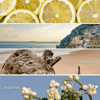 Sweet Water Decor Coastal Lemon Clear Reed Diffuser