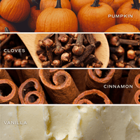 Sweet Water Decor Pumpkin Spice Soy Candle - Ceramic Pumpkin Jar - 8 oz