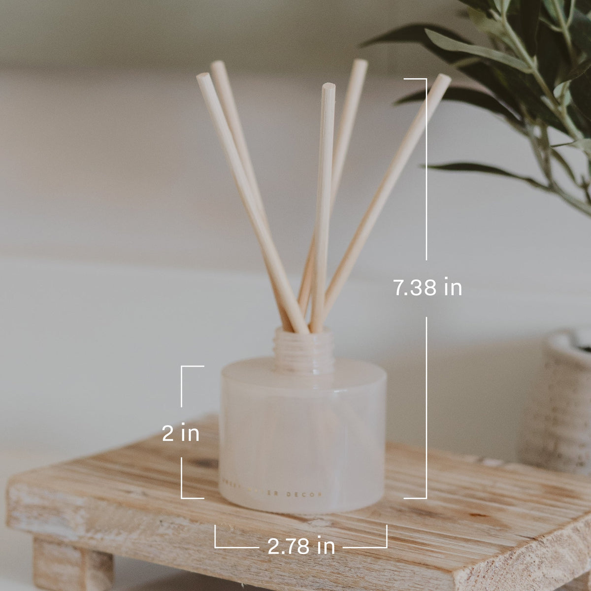 Sweet Water Decor Cashmere and Vanilla White Translucent Tinted Glass Jar Reed Diffuser